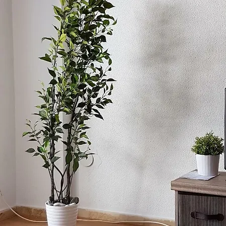 Comodo Apartamento Para 4 En El Centro *